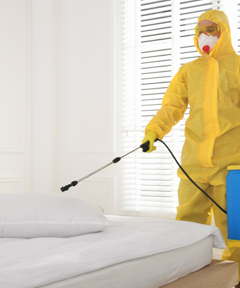 Professional Pest Control Team in Croydon